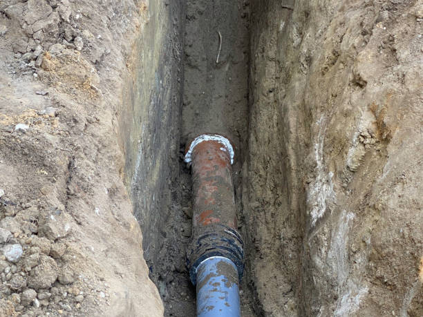 Best Basement water damage restoration  in Albany, LA