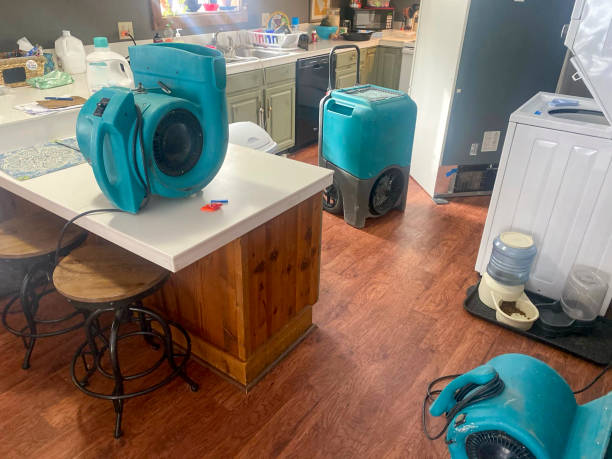 Best 24/7 water damage repair  in Albany, LA