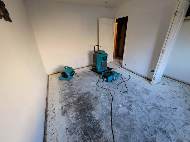 Best Local water damage restoration  in Albany, LA