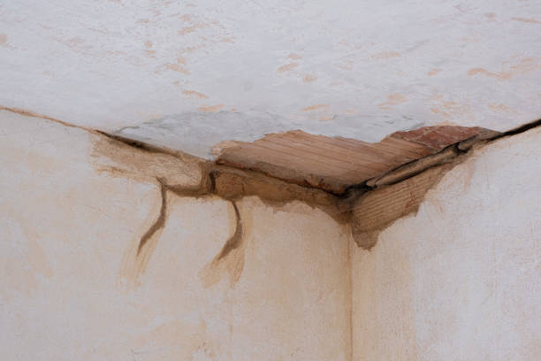 Best Residential water damage restoration  in Albany, LA