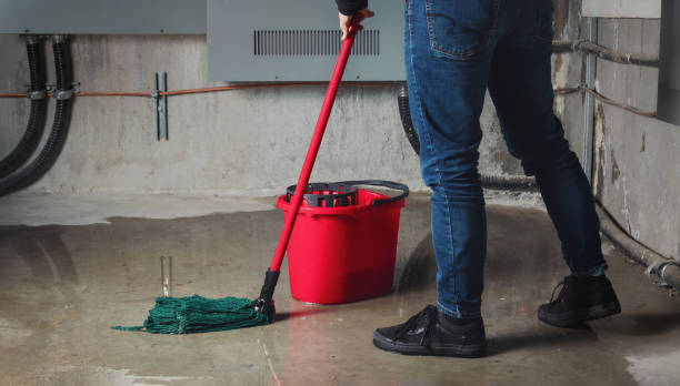 Best Professional water damage repair  in Albany, LA