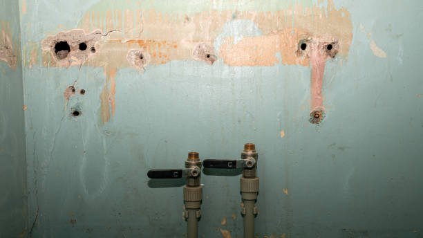 Best Carpet water damage restoration  in Albany, LA