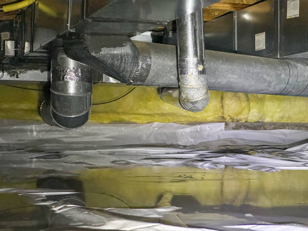 Best Water damage contractors near me  in Albany, LA