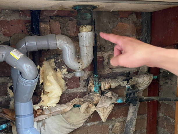 Best Water damage restoration company  in Albany, LA