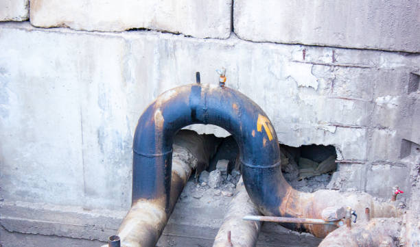 Best Flood restoration services  in Albany, LA